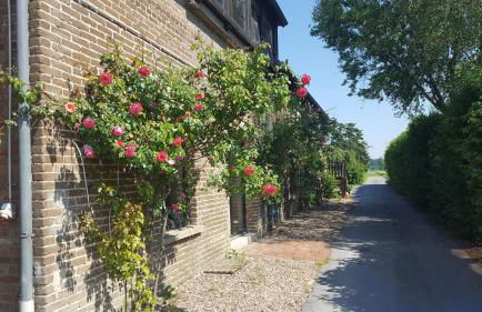 Ferienwohnung Storchennest - Foto 43