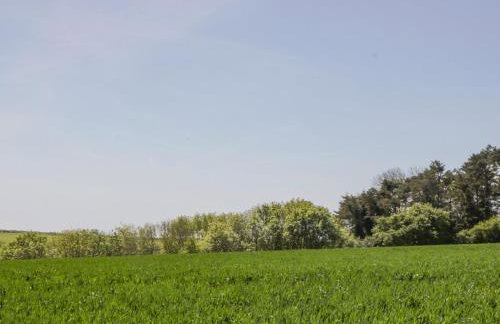 Warehams Barn - Foto 27