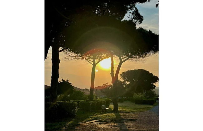 South of France Modern Retreat - Foto 16