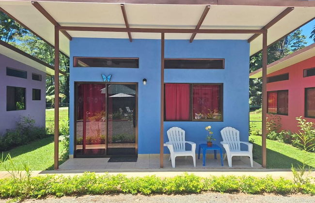 Caribbean Blue Morpho - Foto 4