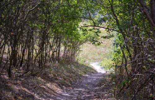 Insel Landhaus Feuerstein - Foto 49