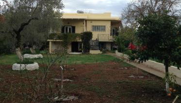 Porto Heli - Detached house for families & group of friends - Foto 4, Garden, Garden view