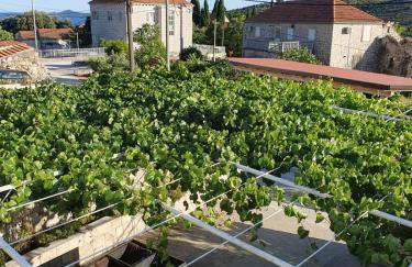 Apartment Mojaš - Photo 40