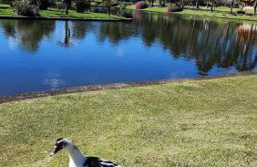 Fantástico Flat no Laje de Pedra Mountain Village - Foto 56