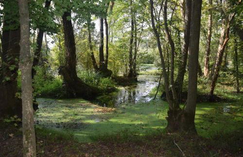 Agriturismo da Gastone - Foto 71