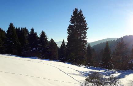 Appartement chaleureux à Soultzeren avec vue sur montagne - Foto 28