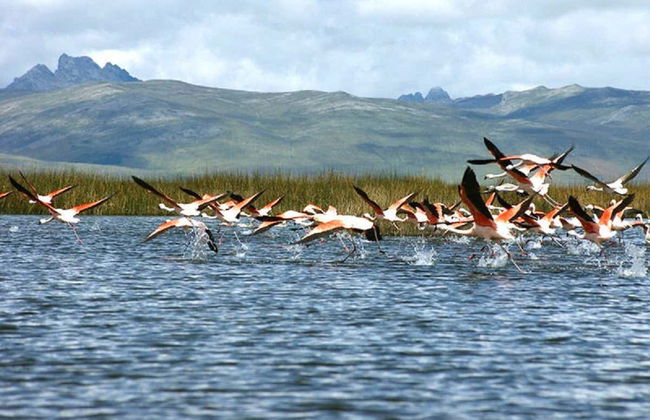Meseta de Bombón Tour - Photo 4
