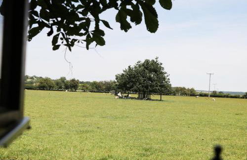 Rose Cottage - Foto 10