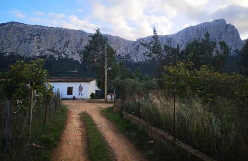 Pinnettu sardo tipica abitazione sarda in ecosistema insetti e animaletti simpatici in condivisione bagno esterno a 10metri Leggere attentamente Prima di prenotare - Foto 70