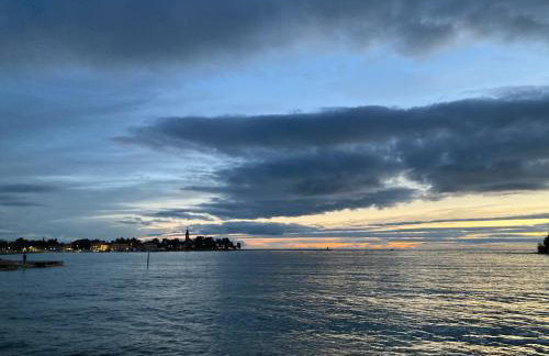 App Sorgo - Photo 66