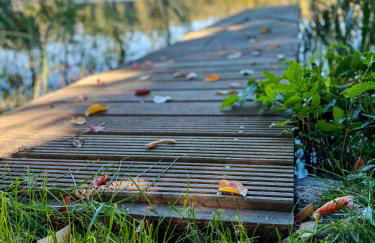House With Private Jetty On Neversdorfer See - Foto 38