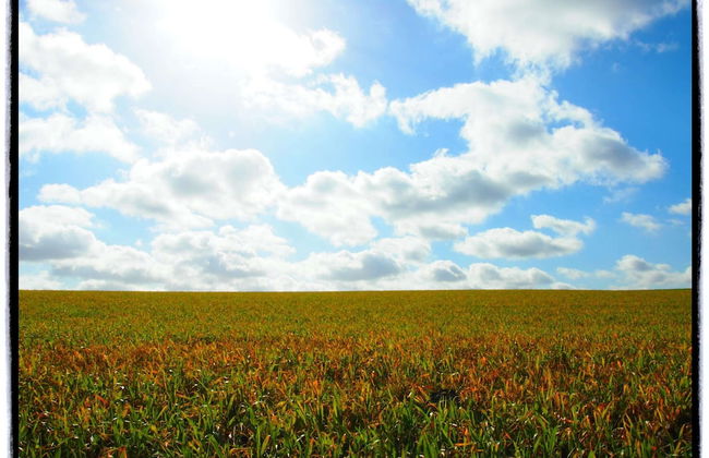 Holiday Home With Terrace in Ellezelles - Foto 44