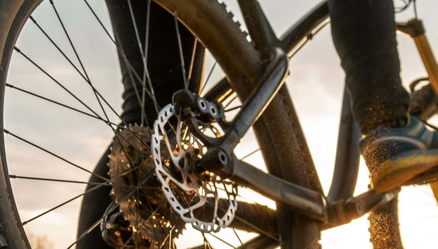 Tour delle paludi dell'Odiel in bicicletta
