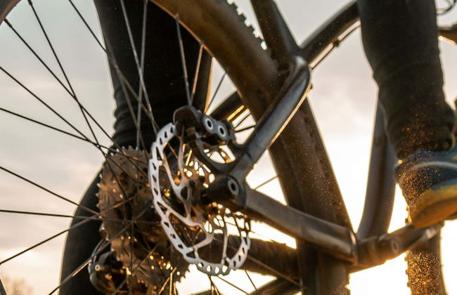 Bike Tour through the Odiel Marshes - Photo 5