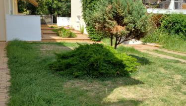 Amor de Skioni - Foto 4