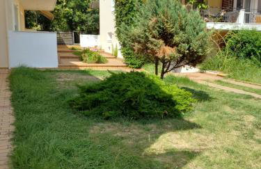 Amor de Skioni - Foto 4