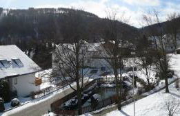 Komfort-Fewo SKYWALK-BLICK mit MeineCardPlus - Foto 25