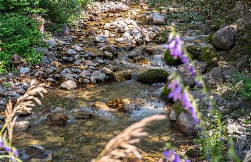 Million Dollar Creekside Treehouse Hottub Rafting Hiking Fishing and Mins to Glenwood and Hotsprings - Foto 76