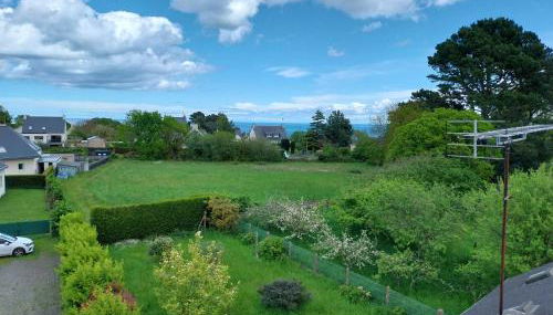 Les goélands - Foto 2