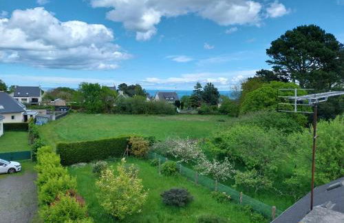 Les goélands - Foto 2