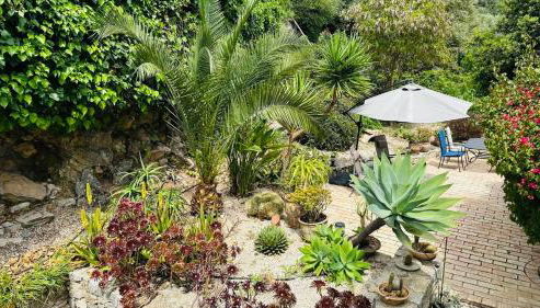 Casa das Flores Tavira - Townhouse with garden - Foto 2, Garden