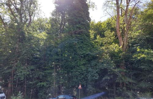 Ferienwohnung Kamerer - Foto 6