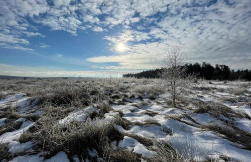 Haus Wunschlos Auf Aderich - Foto 43