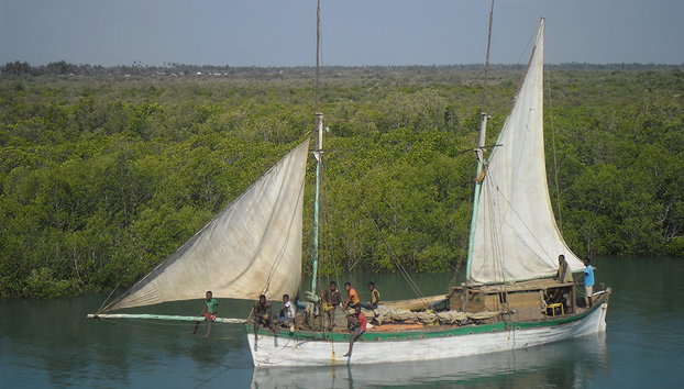 Marofandilia Private Reserve - Foto 2