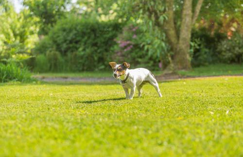 2 Bed in Launceston oc-f30999 - Foto 23