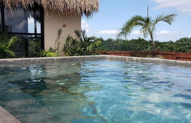 Jungle Penthouse - Photo 17