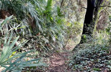 Casa Dolce Vita, Seeblick - Foto 32