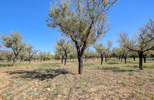 Villa Cas Frares by Slow Villas - Foto 27