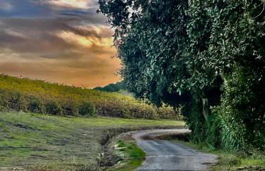 Maçussa Country House - Foto 9