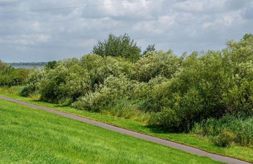 Ferienhaus Apfelzauber - Photo 27