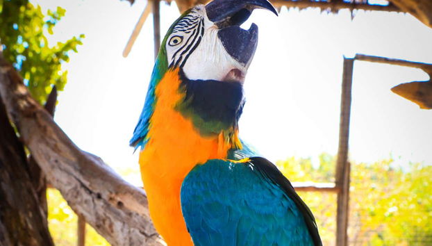 Canyon’s Kingdom Experience & Aqua Park Ticket - Foto 2