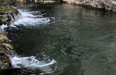 L'Olivier Fleurie Barjols - Foto 78