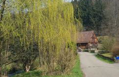 Waldquelle Vital Ferienwohnung - Foto 32