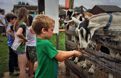 Cozy Cottage Lake Access Fire Pit - Foto 28