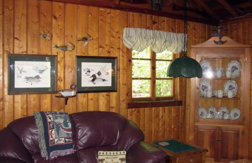 Lake Access! Twin Birch Resort - The Brown Bear - Foto 21