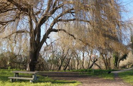 Forest Terrace Praia de Mira - Foto 46