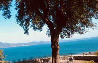 Il Giardino Secreto - Foto 50