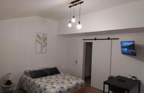 Studio avec jardin - Photo 4