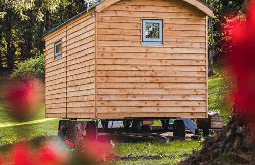 Little Willows - Foto 16