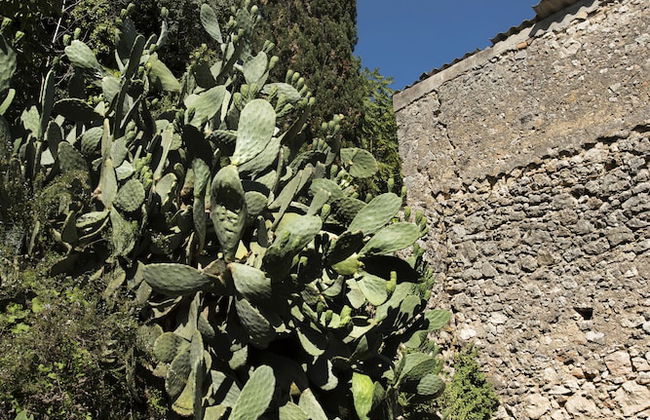 White Jasmine Cottage - Foto 35