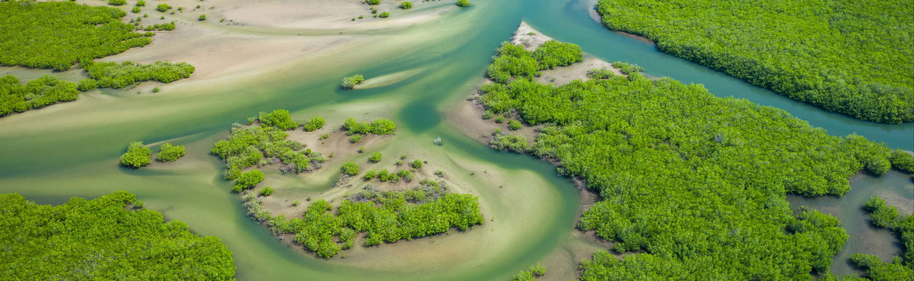 Excursión al delta del Salum