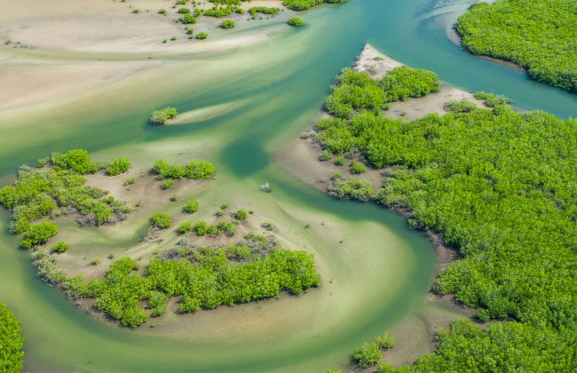 Escursione al delta del Salum - Foto 1