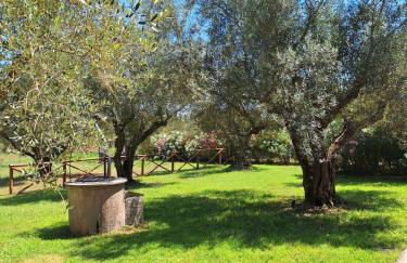 Terre di Cornossa - Foto 9