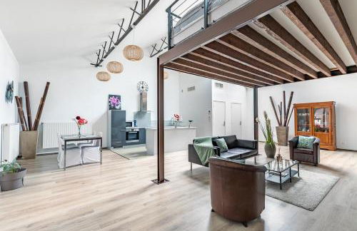 Loft & Spa LE FAUBOURG SAINT MARTIN - Foto 34