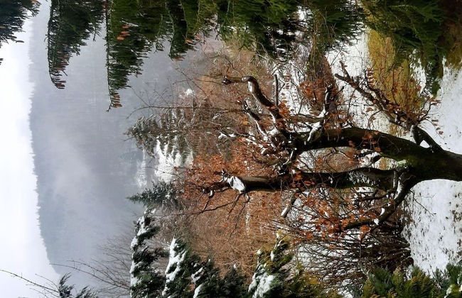 Ferienhaus , Wieda - Foto 50