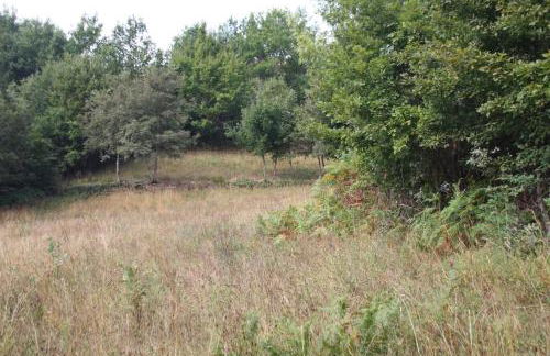 Retiro Da Arminda - Foto 75